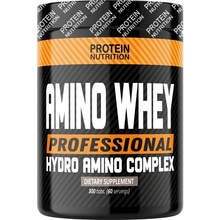 Protein Nutrition Amino Whey Professional 300 tablet