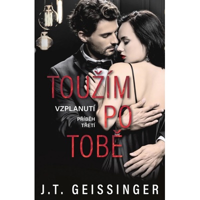 Toužím po tobě