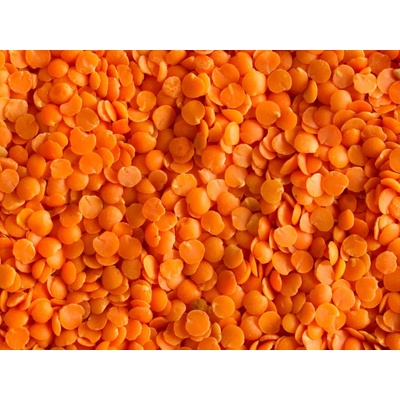 Les fruits du paradis Čočka červená půlená Bio 25 kg