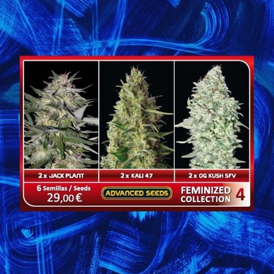 Advanced Seeds Feminized Collection #4 semienka neobsahujú THC 6 ks