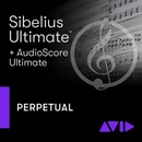 AVID Sibelius Ultimate Perpetual AudioScore