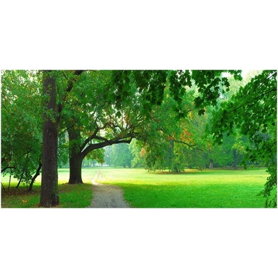 Foto obraz sklo tvrzené jesenné park 100x50 cm