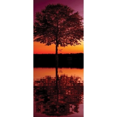 Preinterier DV0024 Fototapeta na stenu Strom pri západe vlies 91cm x 211cm