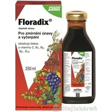 Salus Floradix Železo a Vitamíny 250 ml sirup