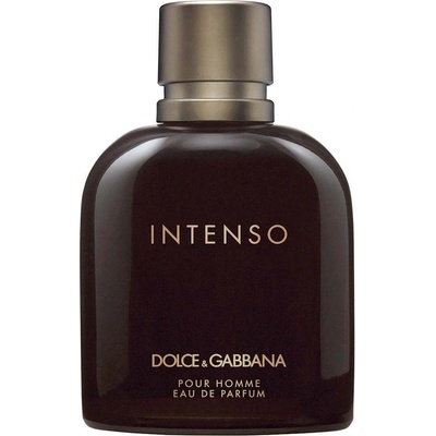 Dolce & Gabbana Intenso parfumovaná voda pánska 125 ml