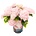 Music Collection® Soft Pink Salsa Music Collection® Хортензия Мacrophylla