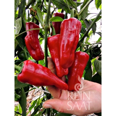 Bio mírně pálivá paprika Türkischer Gewürzpaprika