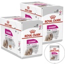 Royal Canin Exigent 24 x 85 g