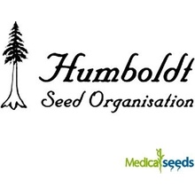 Humboldt Seed Organization Gorilla Breath semena neobsahují THC 5 ks