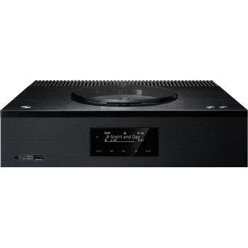 Technics SA-C100EG
