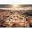 Ravensburger - Puzzle Beautiful Skylines: Rome - 1 000 piese