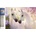 Norimpex - Puzzle Diamond Painting Zamilované kone 30x40cm - 1 - 39 piese