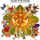 TEARS FOR FEARS - RULE THE WORLD LP