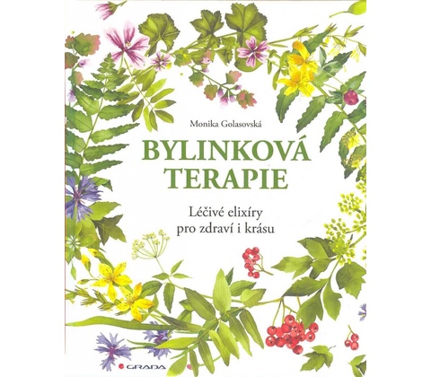 Bylinková terapie