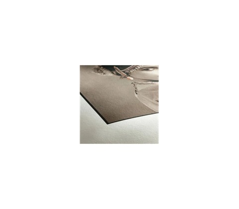 Hahnemühle 13643271