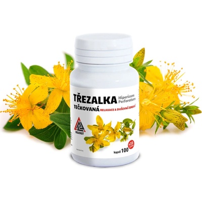 Valknut Třezalka Tečkovaná Hipericum Perforatum 100+20 kapslí