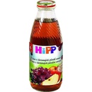 HiPP BIO Z červených plodů ovoce 500 ml