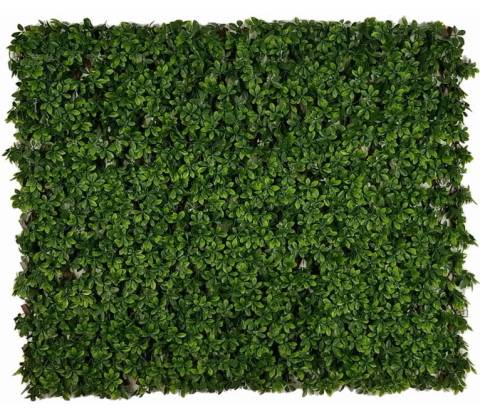 SCHEFFLERA EXT, rozměr - 1,0x2,0 m