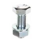 Baks Screw (set) type SM M10X30 650843 /100pcs. /