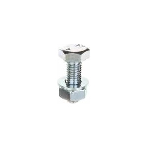 Baks Screw (set) type SM M10X30 650843 /100pcs. /