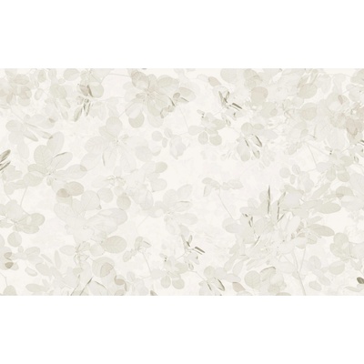 Komar Vliesová fototapeta Sheer Grey rozměry 400 x 250 cm