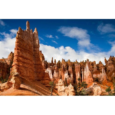 DIMEX ART Флизелинов фототапет национален парк 375 x 250 см