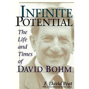 Infinite Potential | F. David Peat (ISBN: 9780201328202)