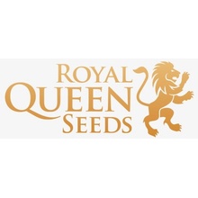 Royal Queen Seeds Corkscrew AUTO semena neobsahují THC 3 ks