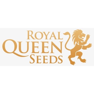 Royal Queen Seeds Mimosa matic semena neobsahují THC 1 ks – Zboží Dáma