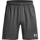 Under Armour CHALLENGER