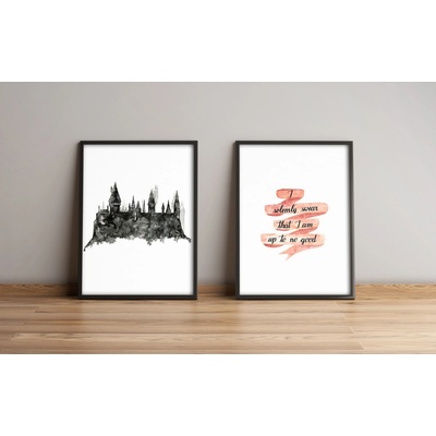 ASIR Obraz na MDF s rámem 2ks HARRY POTTER, BRADAVICE 36 x 51 cm