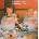 The Undertones - Hypnotised (CD) (4099964198393)