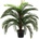 Bizzotto ИЗКУСТВЕНО РАСТЕНИЕ palma cycas 80x80x100 (0172480)