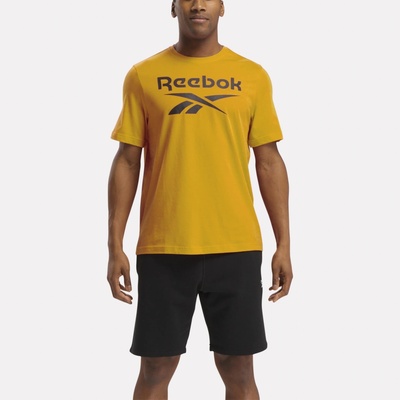 Reebok pánské fitness tričko
