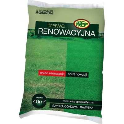 RENOVAČNÁ TRÁVA 1 kg LETNÝ JESENNÝ VÝSEV DOSIEWKA REGENERÁTOR