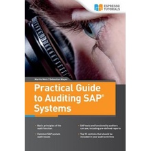 Practical Guide to Auditing SAP Systems