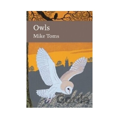 Owls - Mike Toms