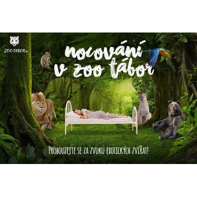 Nocování v ZOO Tábor