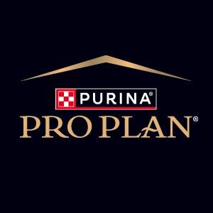 Pro Plan