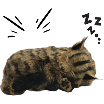 Perfect Petzzz Mainská mývalí 25 cm