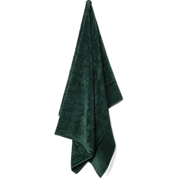 La Reina Хавлиена кърпа La Reina - Vera, 95 x 150 cm, зелена (209)
