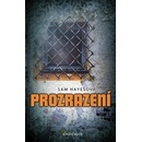 Prozrazení