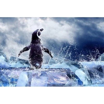 DIMEX ART Флизелинов фототапет пингвин 375 x 250 см
