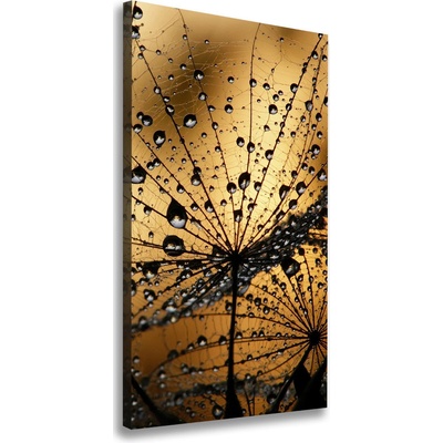Vertikálny foto obraz na plátne Semená púpavy 50x100 cm