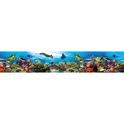 Dimex KI350-092 Samolepící fototapeta do kuchyně Fish rozměry 350 x 60 cm