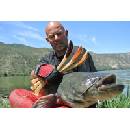 Hell-Cat Vábnička veľká plochá II