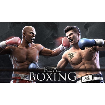Real Boxing