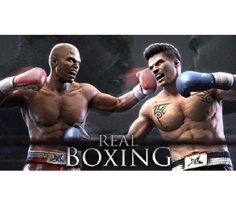 Real Boxing