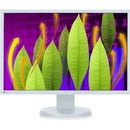 Monitory Eizo EV2216WFS