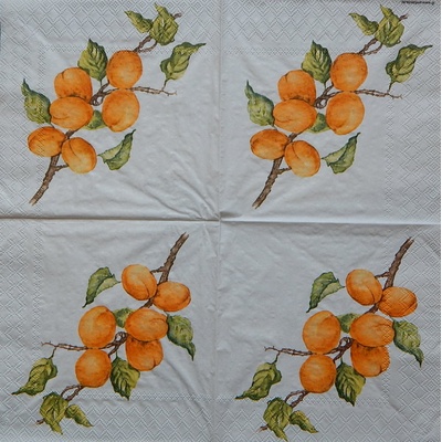 Ambiente obrúsky Meruňky 33 x 33 cm